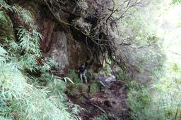 Bob gives up on the laguna triangulo trail [wed jan 16 13:36:21 clst 2019]